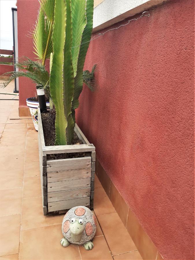 Casa Ohana Solarium, Jacuzzi,Piscine,Tout Confort Orihuela Exteriör bild